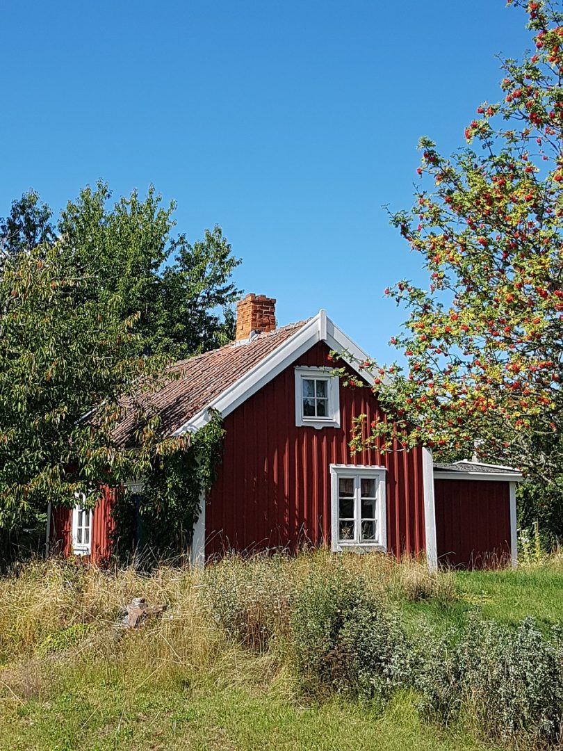 MÖKKIKAUPPA: Kesämökin ja mökkitontin ostaminen vaatii tarkkuutta 1